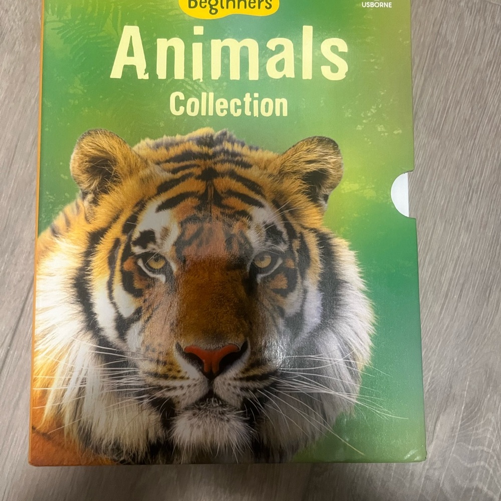 Born Learning Toy Green and Orange